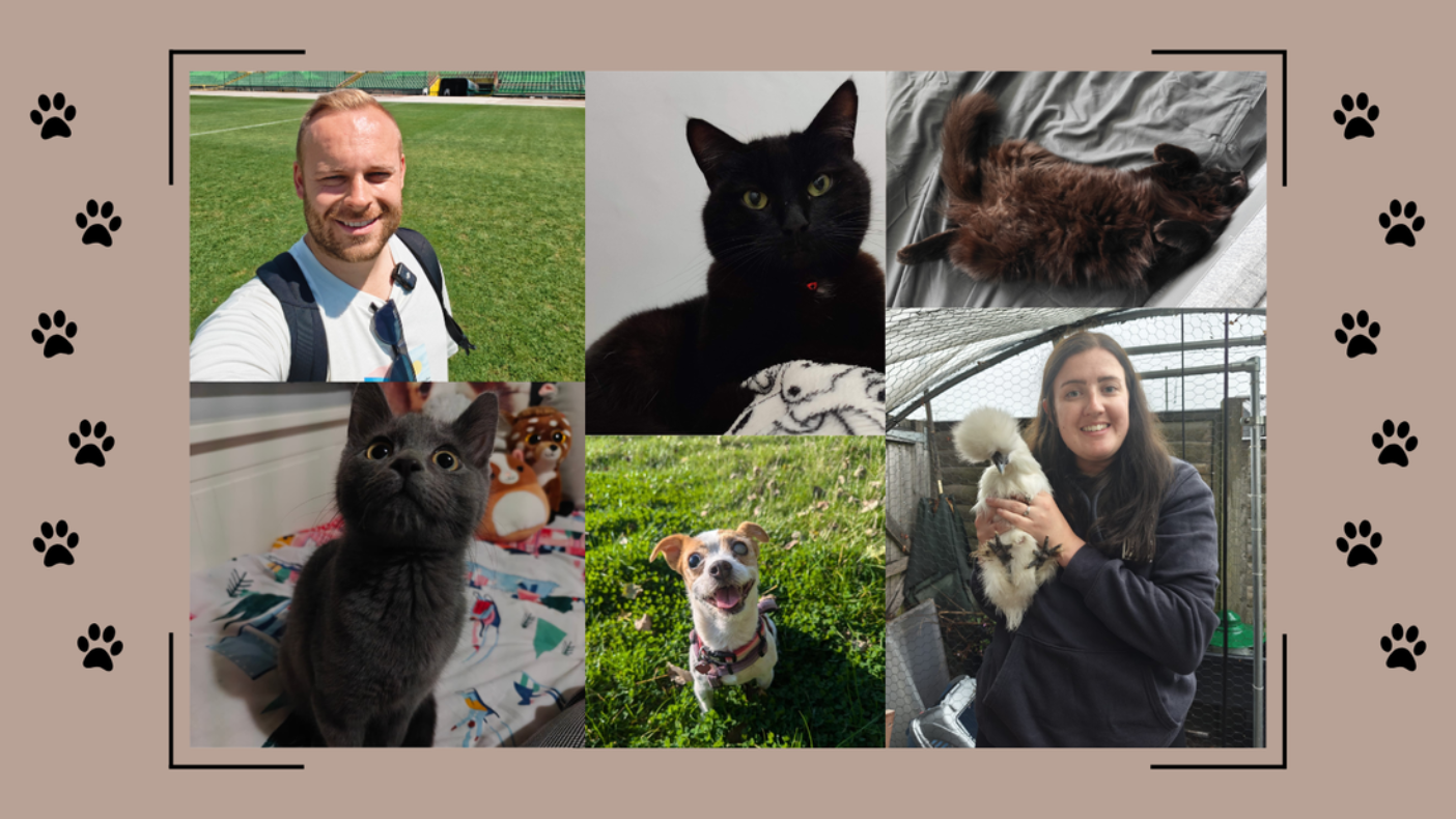 Rob, Charlie and their family of pets, including Lina, their cats and a Silkie chicken